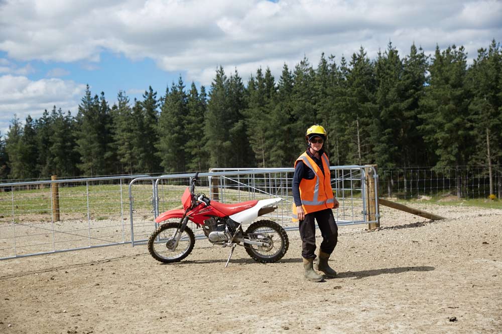 Pāmu pleased	to play role in government forestry programme