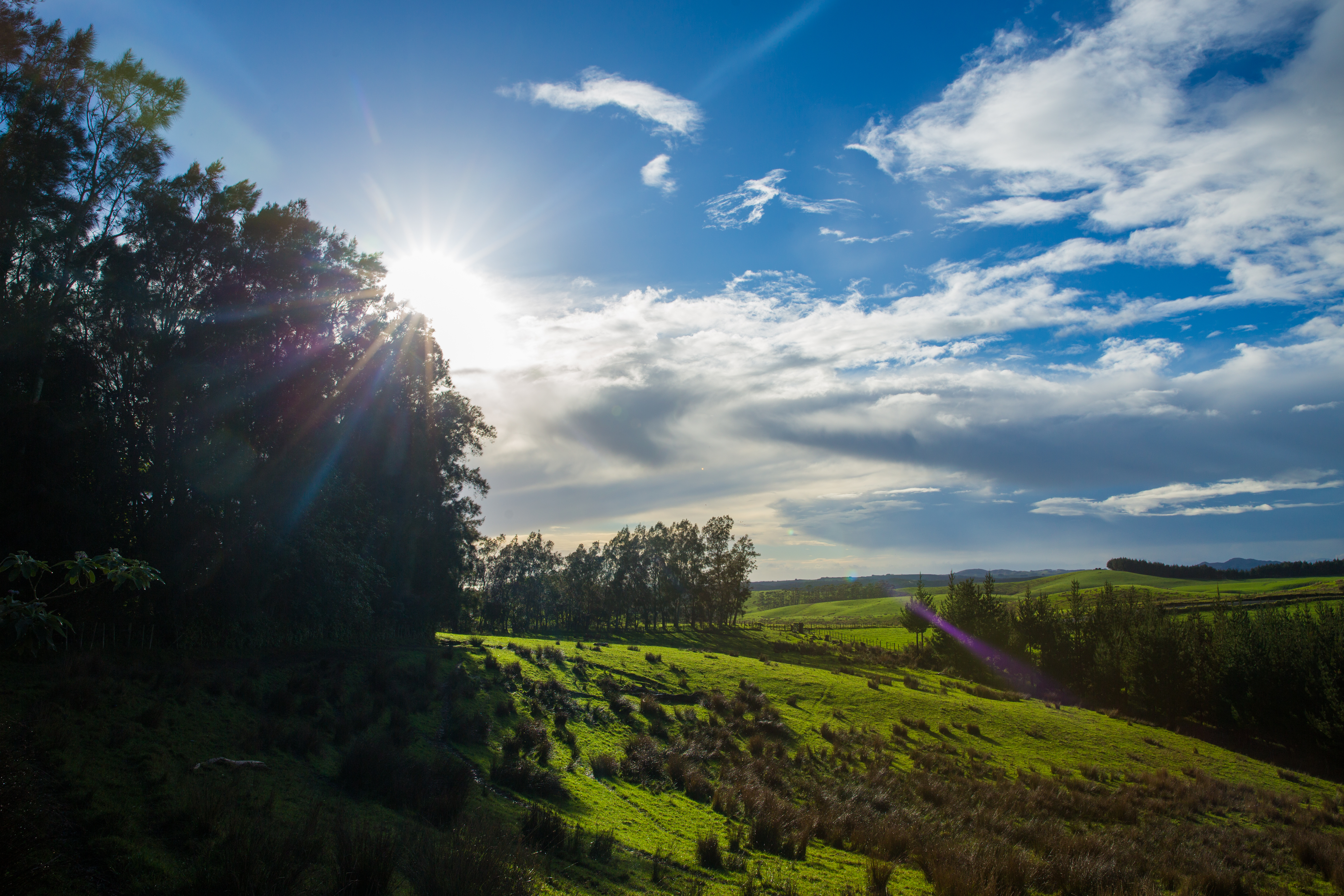 Putting a value on our native ecosystems