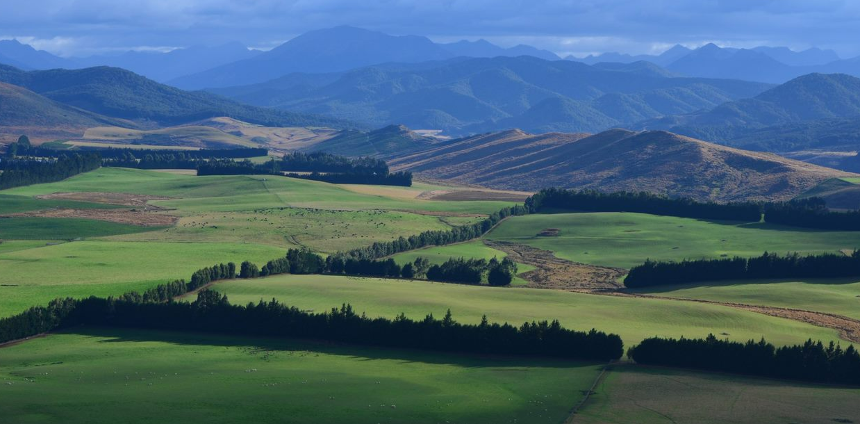 Pāmu establishes independent Sustainability Panel