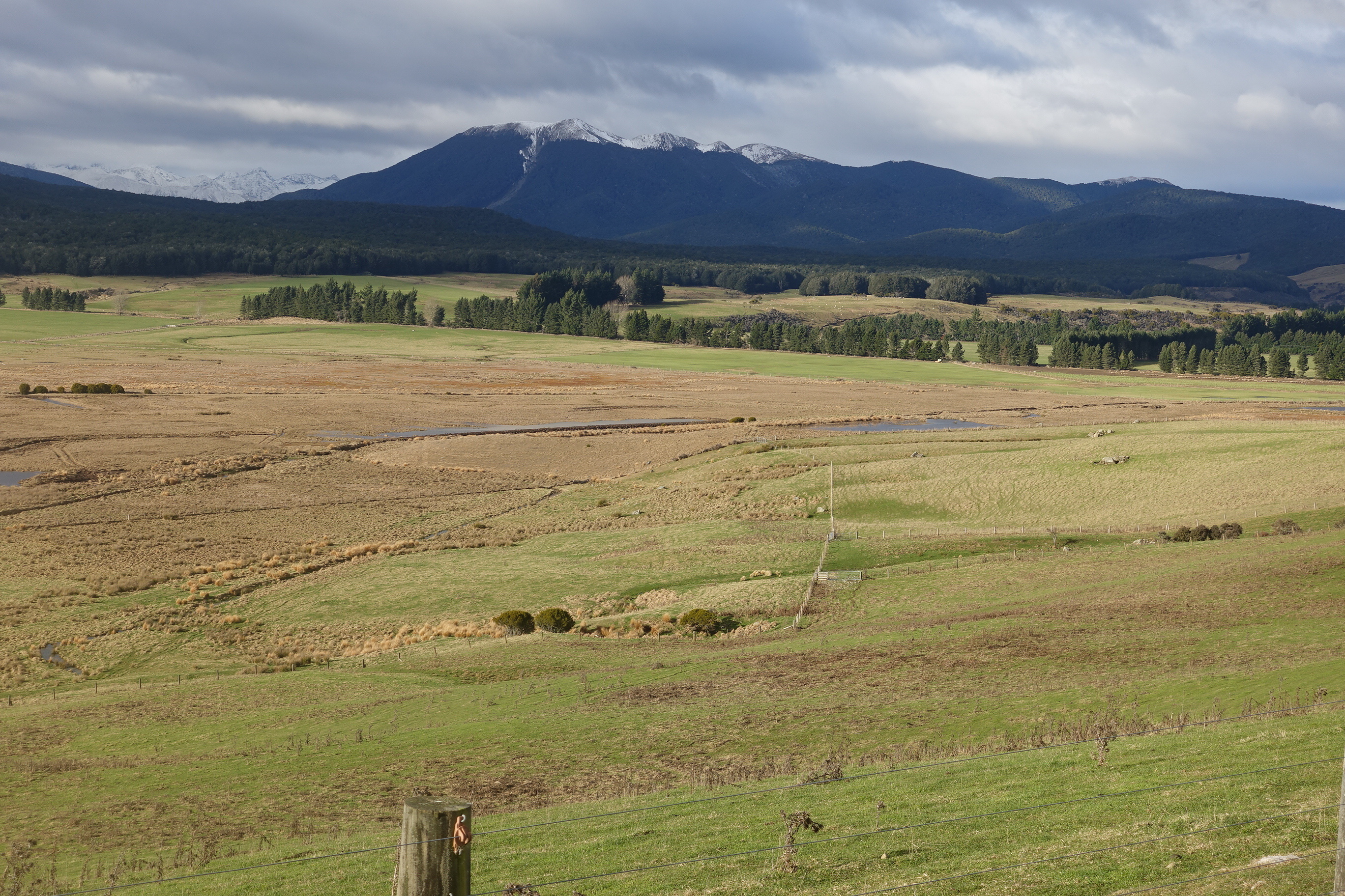 A milestone for biodiversity – Pāmu celebrates 10,000 hectares permanently protected with QEII National Trust