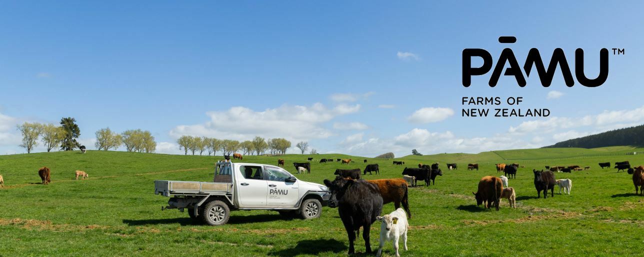 Dairy Beef Open Day at Exeter